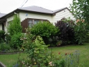 The front garden looking towards the house.