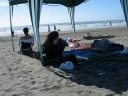 Mauricio, Snaiet, Denise, and Haydn under a gazebo on Peka Peka beach. In the background a game of cricket is in progress.