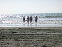 Jann, Snaiet, Denise, and Haydn about to leave the water.