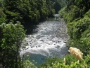 Further downstream at the Kaitoke catchment.