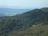 IMG_0077.jpg
