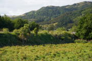IMG_0026.jpg