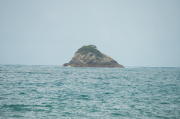 IMG_0260.jpg