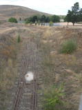 A look north along the track from a Monaro Highway bridge south of the station. The track to the right went to the local saleyards, while the left track went towards the station.