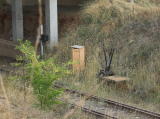 A view to the southwest next to the Monaro Highway bridge. Points and trackside structures are visible.