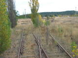 Points and derailer to the south of the Monaro Highway overbridge. A lot of regrowth has taken over here. The cutting heads south towards Cooma Creek.