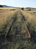 North of Bredbo looking north of the highway. The line has been cut before crossing the highway into Bredbo.