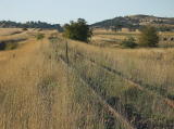 Looking north past the highway, the line has been blocked leading up to the former crossing.