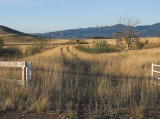The northern side of the former highway crossing, looking north towards Michelago.