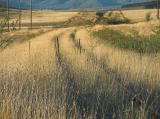 A closer look at the cutting and embankment for the railway south of Michelago leading up to the highway.