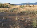 Standing back a few metres, we see the old highway formation south of Michelago where the track crossed the road. Weeds indicate where the tracks were buried in the road.
