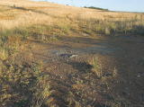 Another look at the old highway formation as it went over the railway. By way of comparison, a photo at nswrail.net shows the crossing before it was removed.