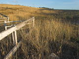Another look at the old highway formation where the railway crossed. The gates to the left protect the railway land to the north of the crossing.
