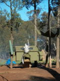 Western Plains Zoo, Dubbo.