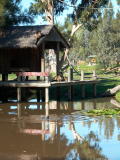 Spider Monkey exhibit, Western Plains Zoo, Dubbo.