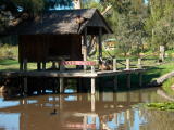 Spider Monkey exhibit, Western Plains Zoo, Dubbo.