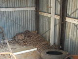 A collection of sleeper plates and rail anchors in the gangers shed at Williamsdale.