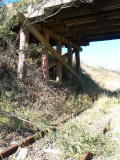 Trees fallen across the line due to recent heavy winds. Kelly Road overbridge.