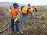 Vegetation and debris across the railway track, caused by flood waters, around 344.3km.