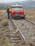 Looking south towards 343.5km, with sleepers and vegetation exposed.