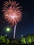 IMG_0035.jpg