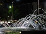 IMG_0056.jpg