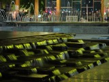 IMG_0064.jpg