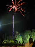 IMG_0113.jpg