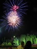 IMG_0123.jpg