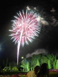 IMG_0126.jpg