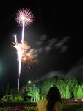IMG_0131.jpg