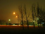 IMG_0207.JPG
