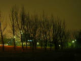 IMG_0211.JPG