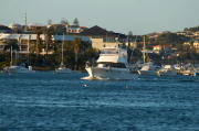 IMG_0612.jpg