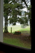 IMG_0099.jpg