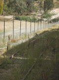 The Tuggeranong siding rejoins the main line.