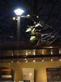 IMG_0010.jpg