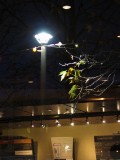 IMG_0014.jpg