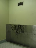 IMG_0024.jpg