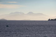IMG_0276.jpg