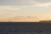 IMG_0317.jpg