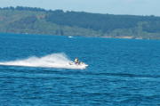 IMG_0036.jpg